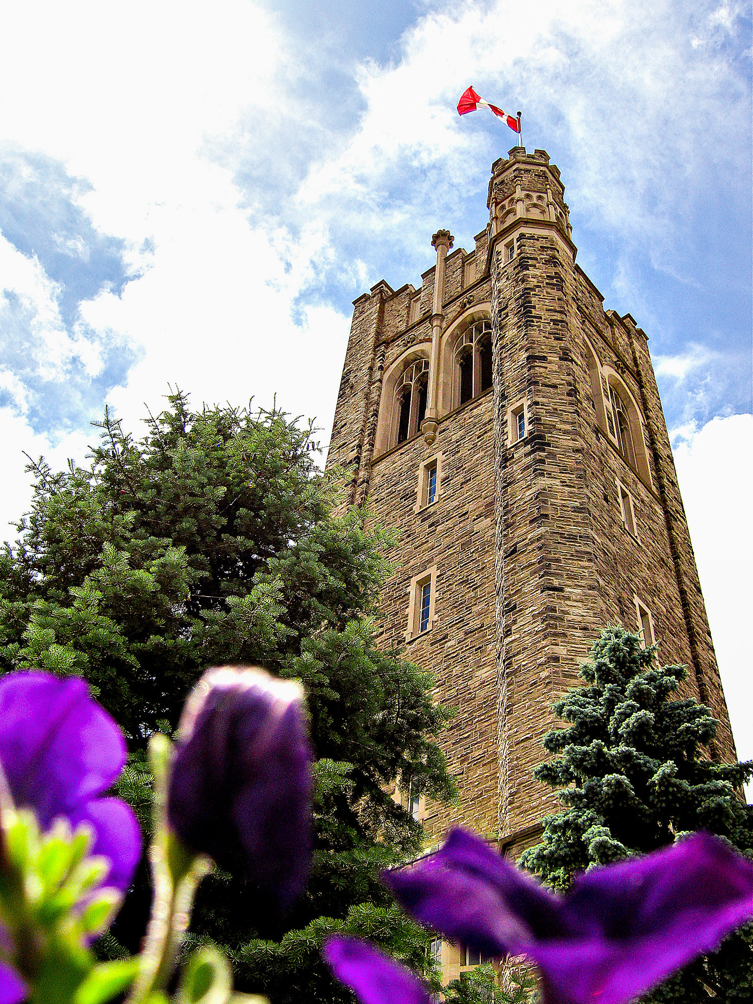Upward view of University College tower at UWO with purple flowers and trees in the foreground